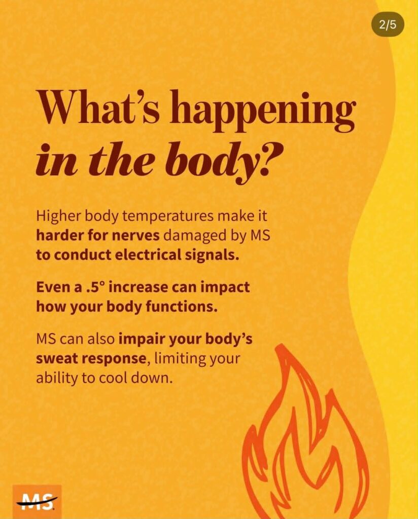 Whats happening in the body